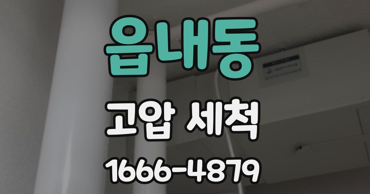 읍내동 고압 세척
