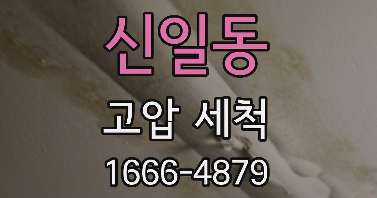 신일동 고압 세척