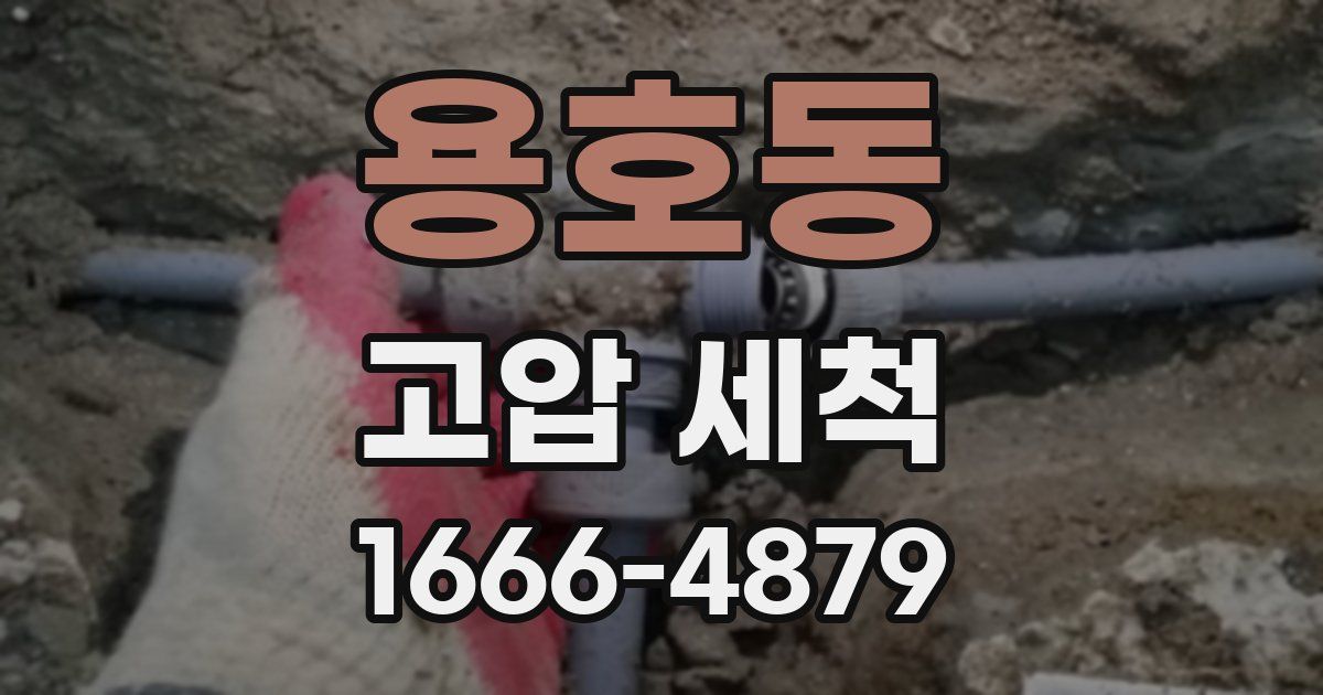 용호동 고압 세척