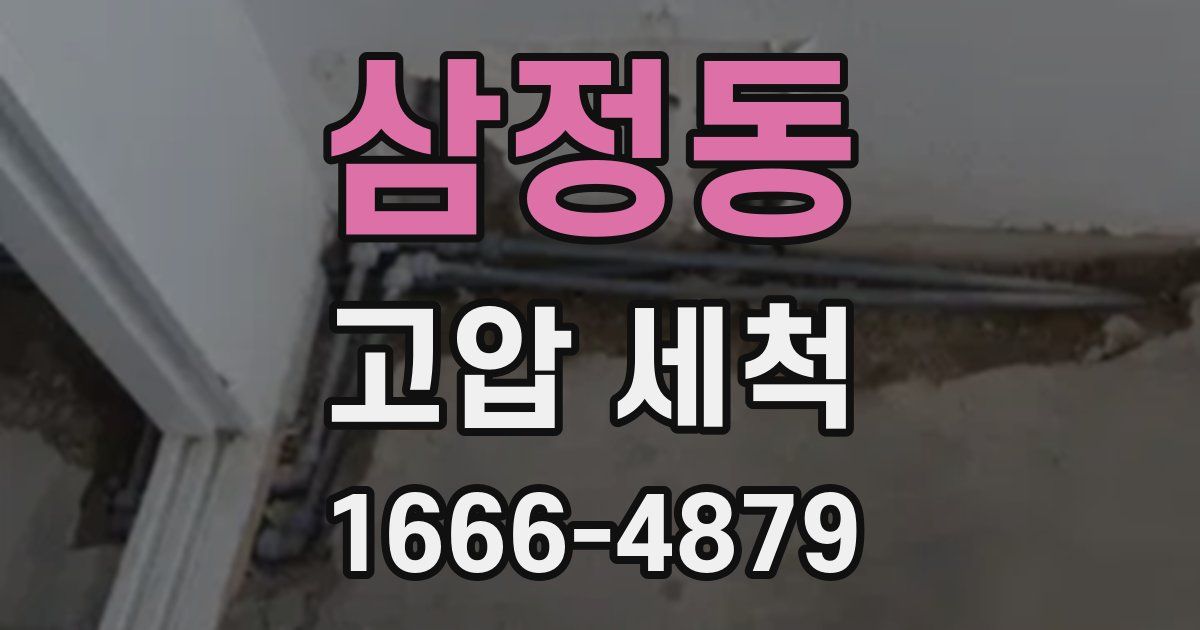 삼정동 고압 세척