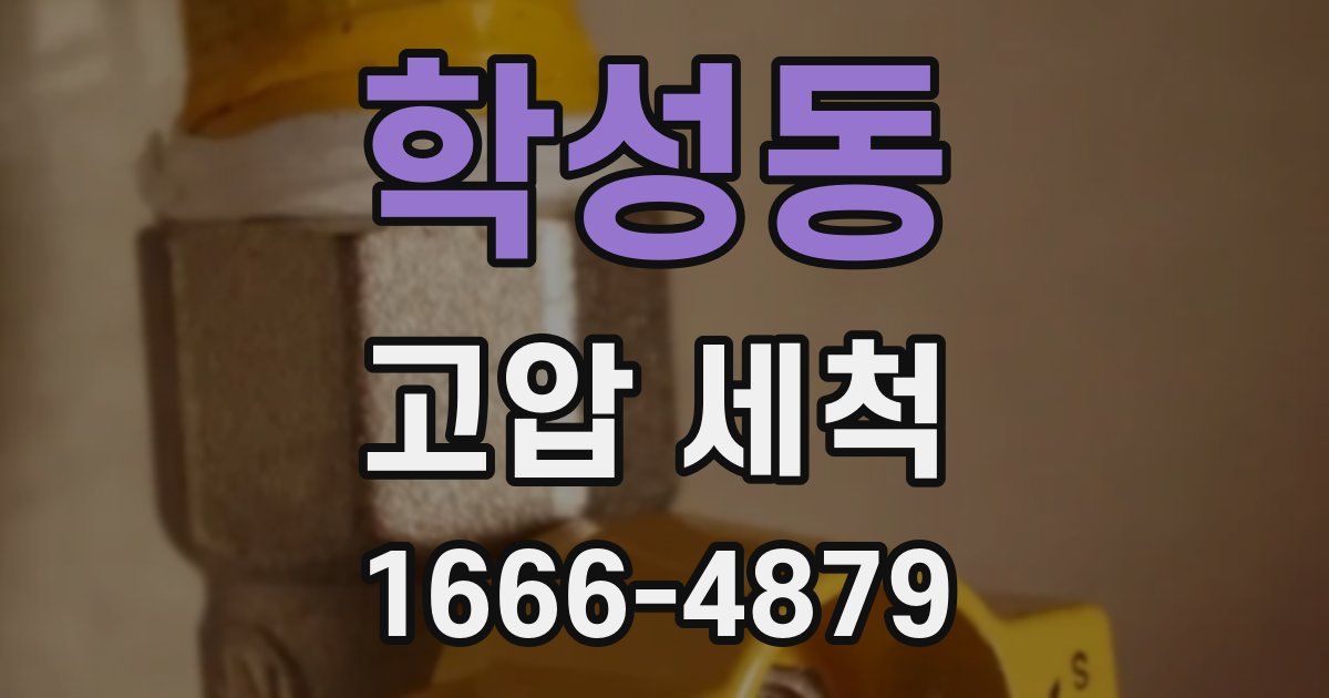 학성동 고압 세척
