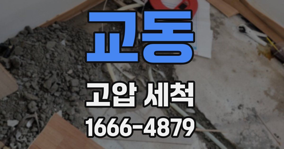 교동 고압 세척
