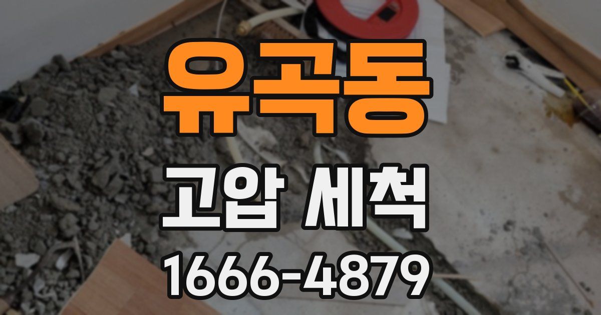 유곡동 고압 세척
