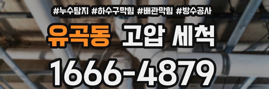 유곡동 고압 세척