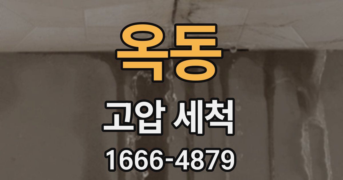 옥동 고압 세척