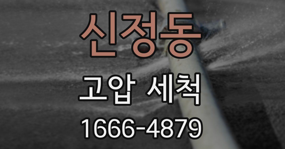 신정동 고압 세척
