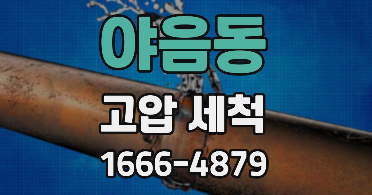 야음동 고압 세척