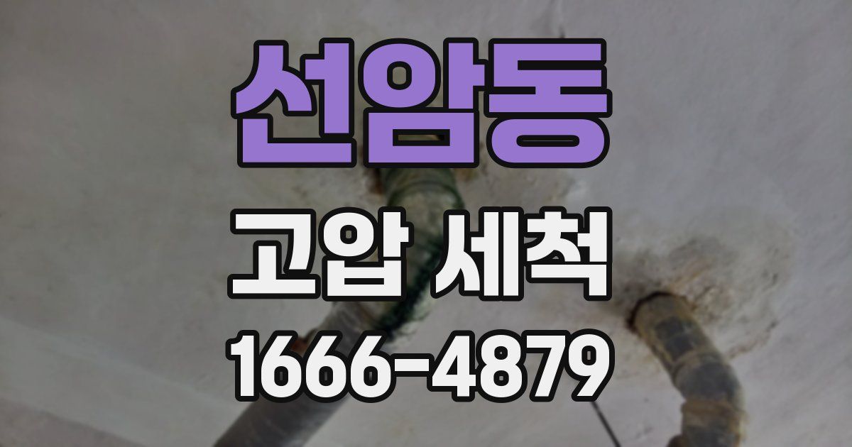 선암동 고압 세척
