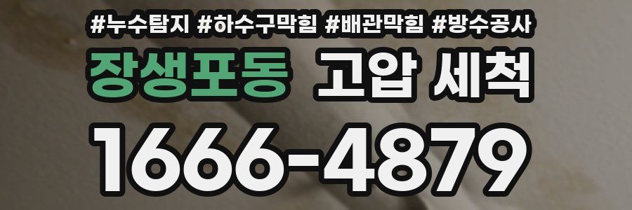 장생포동 고압 세척
