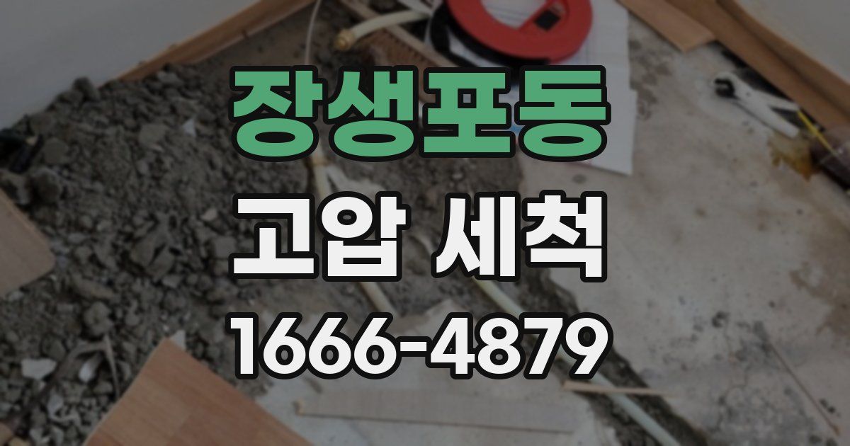 장생포동 고압 세척