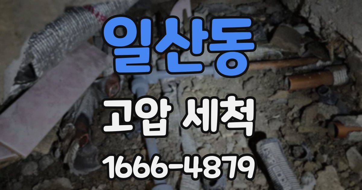 일산동 고압 세척