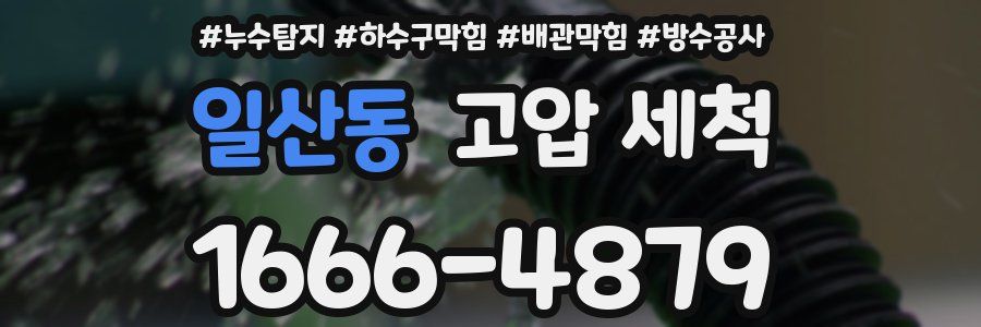 일산동 고압 세척