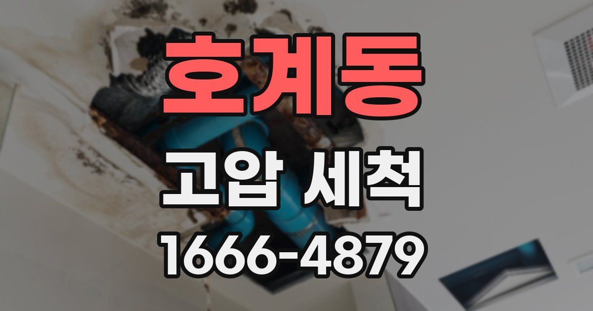 호계동 고압 세척