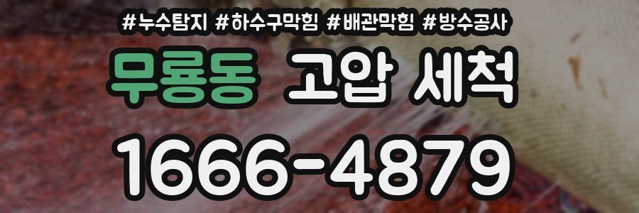 무룡동 고압 세척