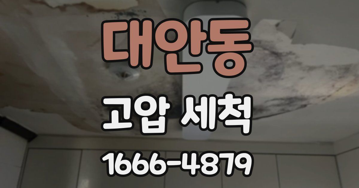 대안동 고압 세척