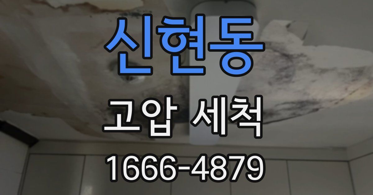 신현동 고압 세척
