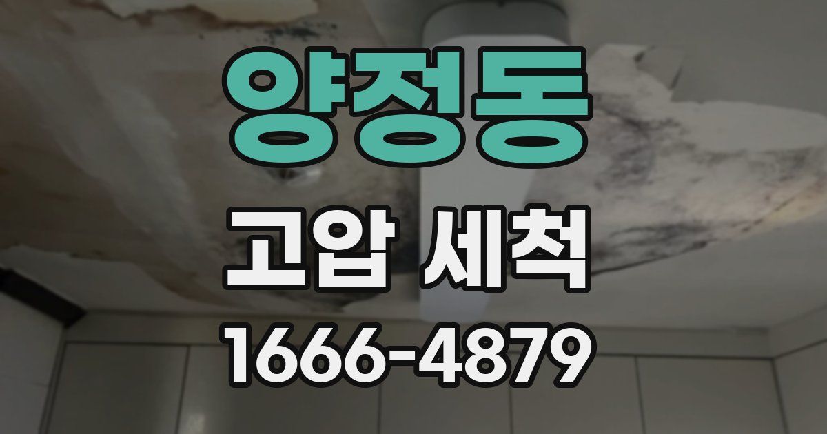 양정동 고압 세척