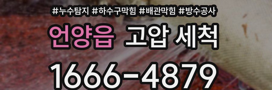 언양읍 고압 세척