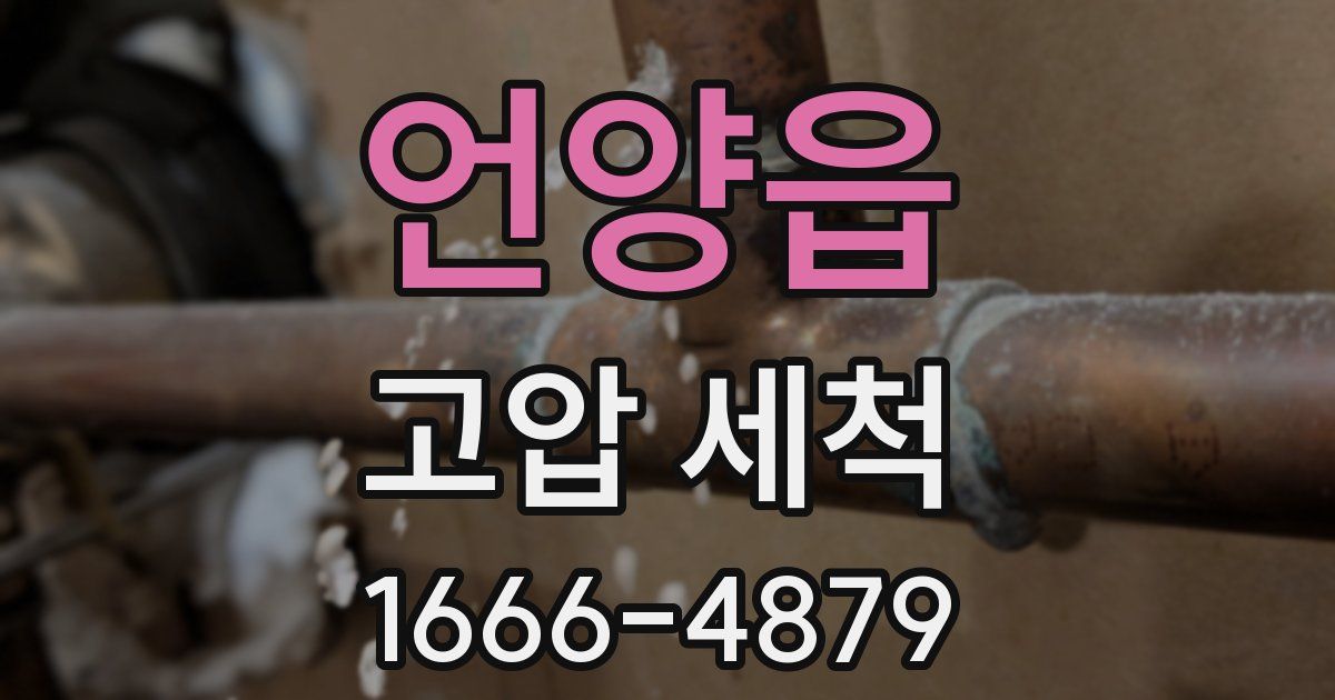 언양읍 고압 세척