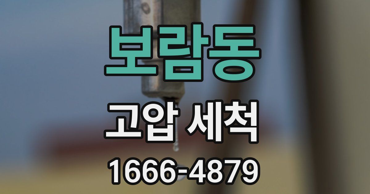 보람동 고압 세척