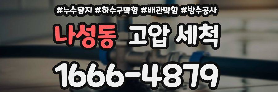 나성동 고압 세척