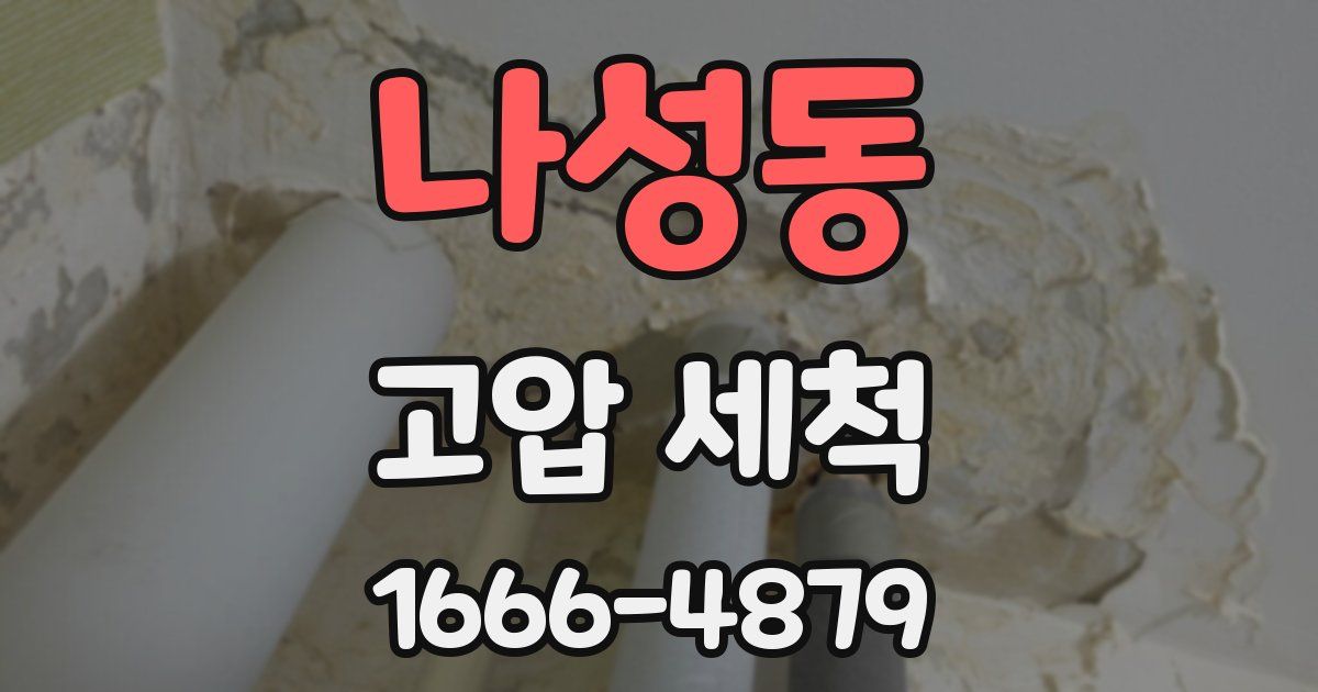 나성동 고압 세척