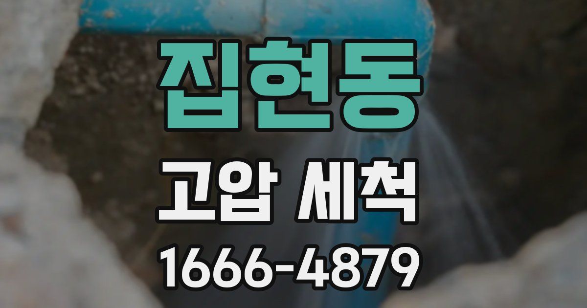 집현동 고압 세척