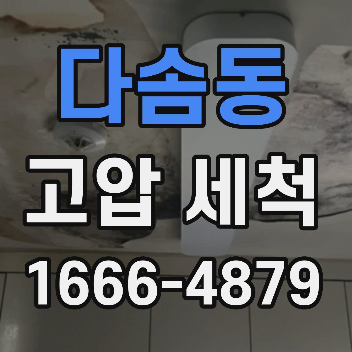 다솜동 고압 세척