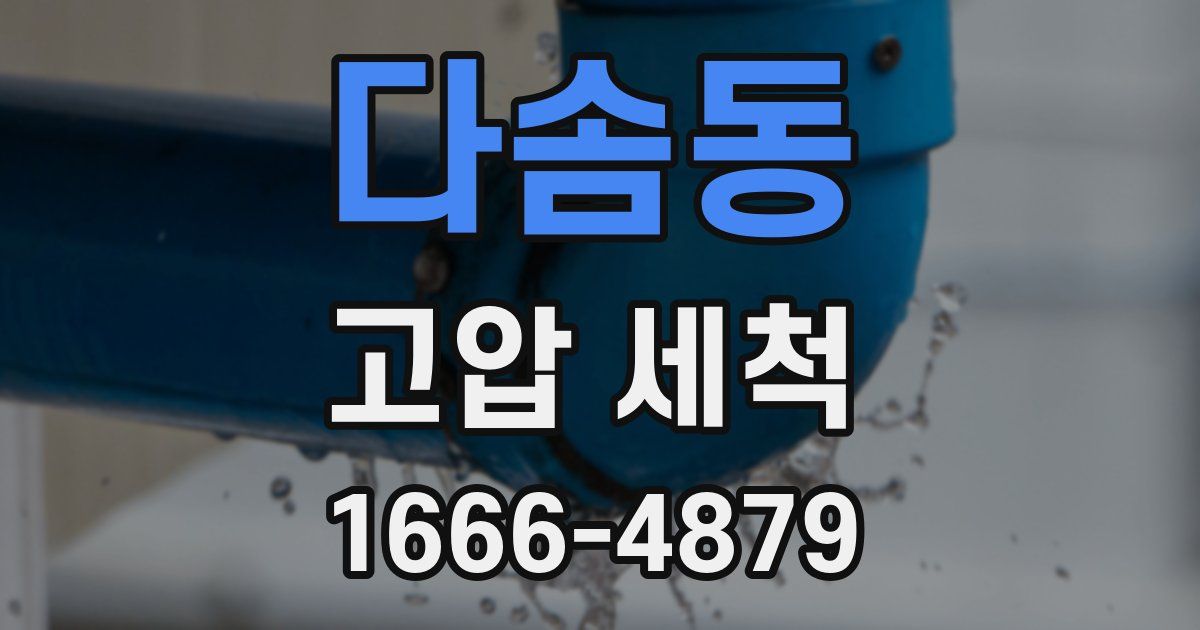 다솜동 고압 세척
