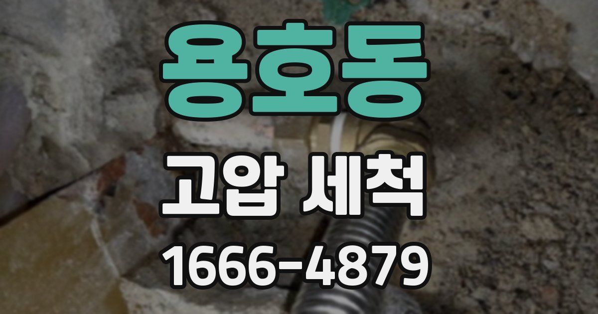 용호동 고압 세척
