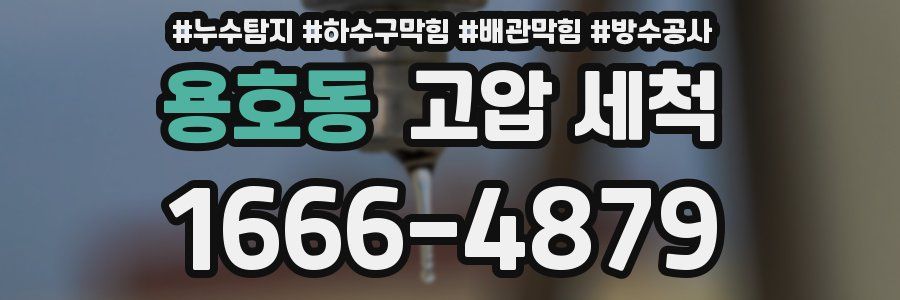 용호동 고압 세척
