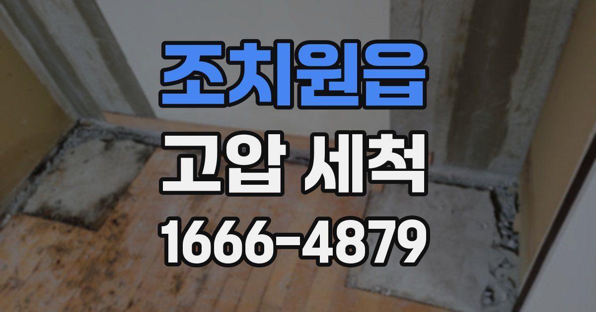조치원읍 고압 세척