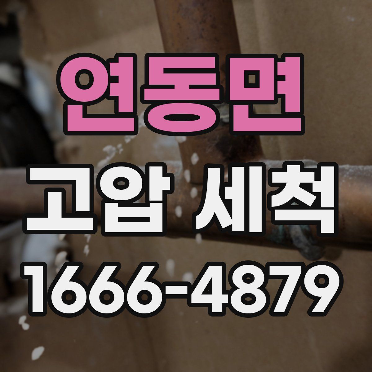 연동면 고압 세척