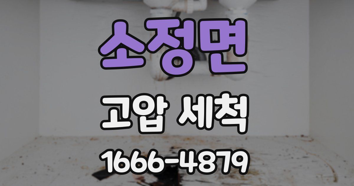 소정면 고압 세척