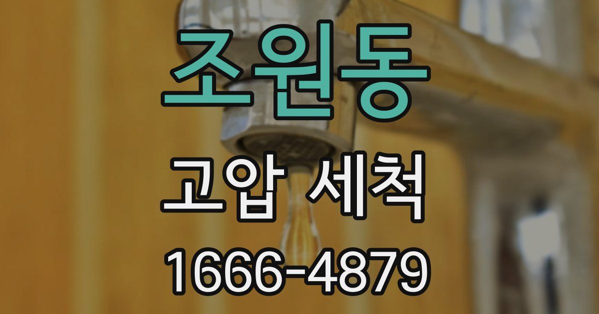 조원동 고압 세척