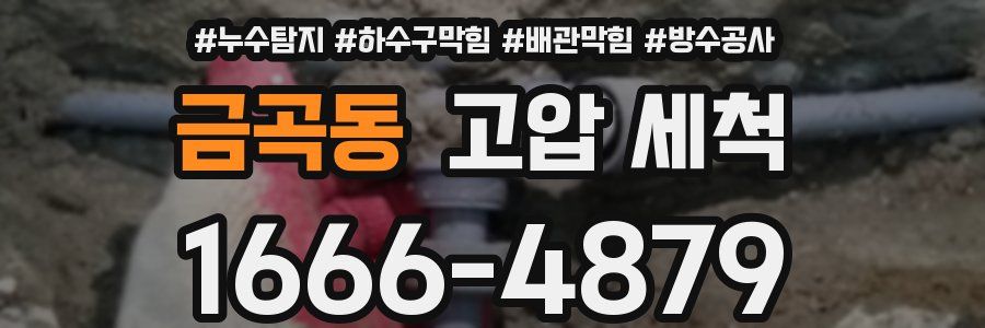 금곡동 고압 세척