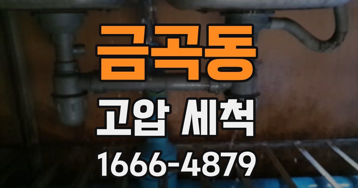 금곡동 고압 세척