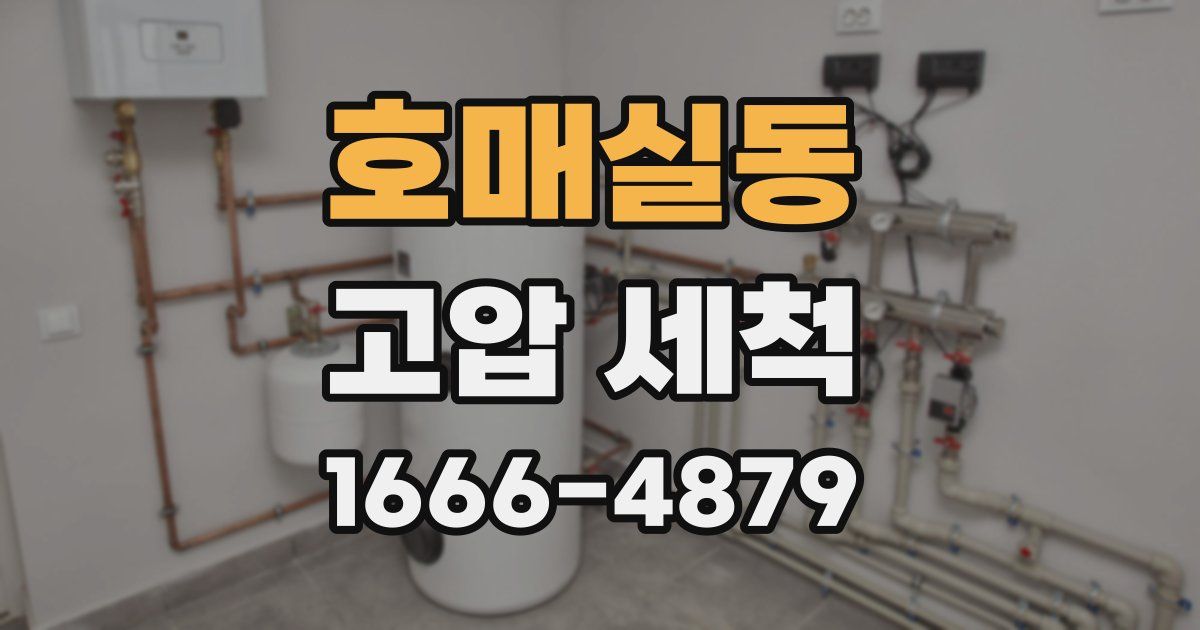 호매실동 고압 세척