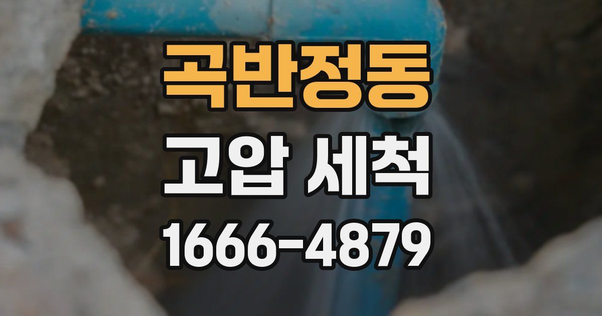 곡반정동 고압 세척