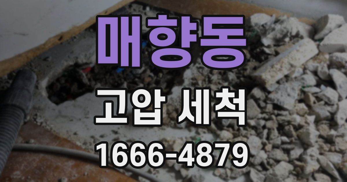 매향동 고압 세척