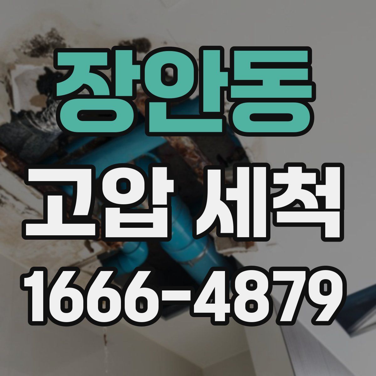 장안동 고압 세척