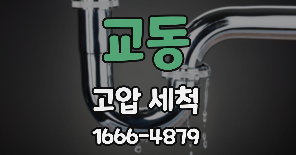 교동 고압 세척
