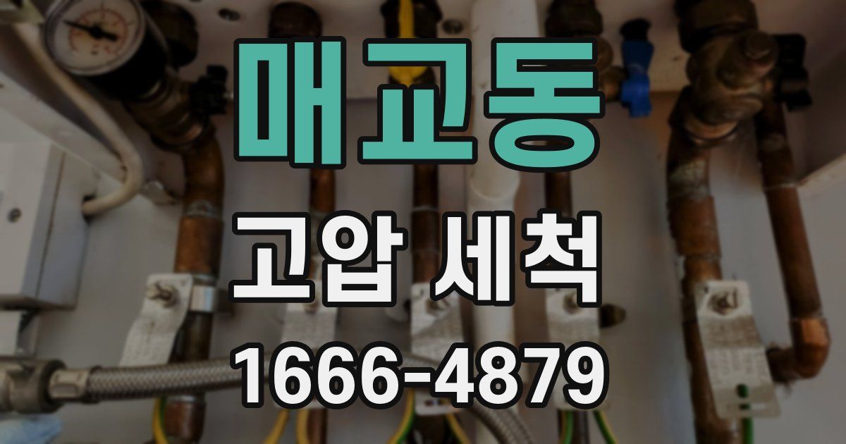 매교동 고압 세척