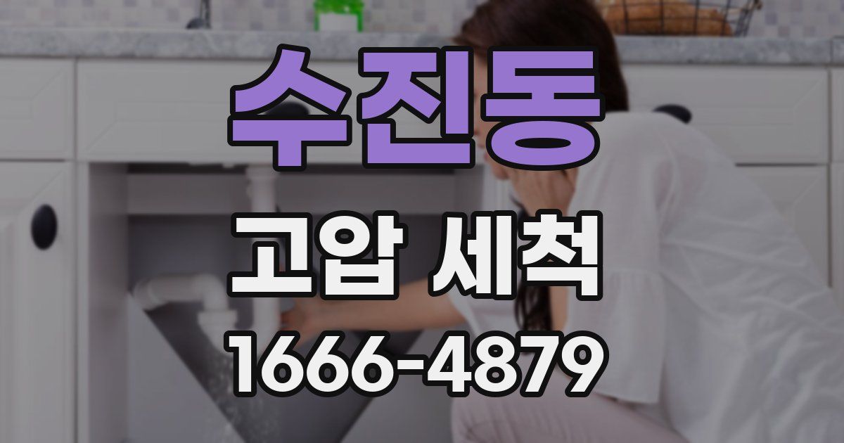 수진동 고압 세척
