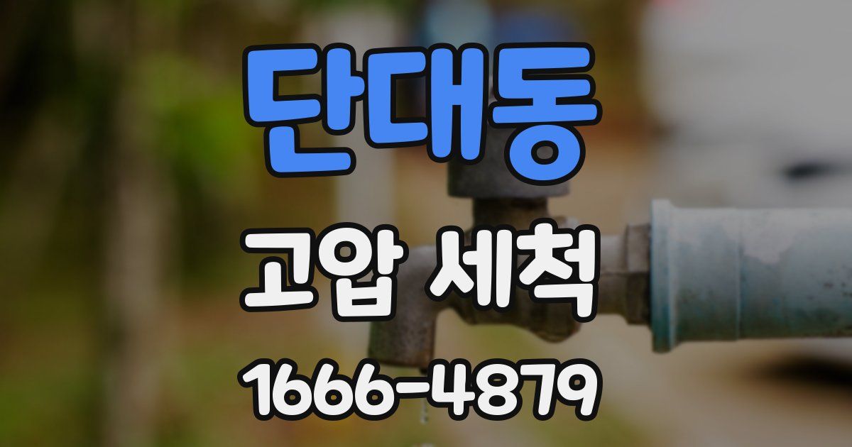 단대동 고압 세척
