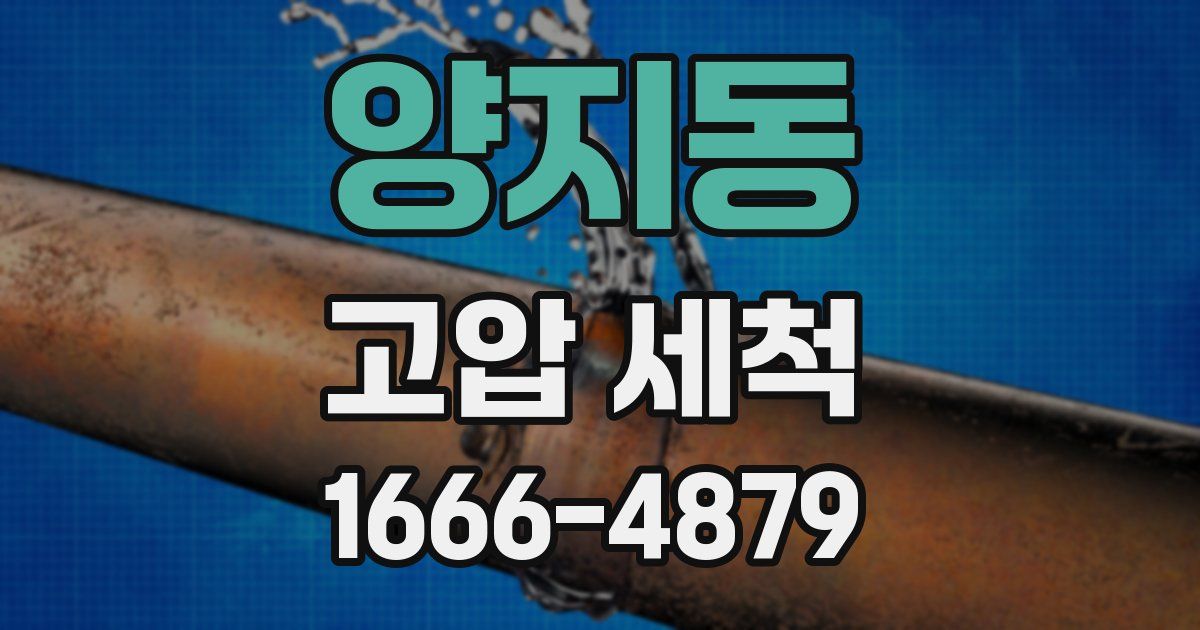 양지동 고압 세척