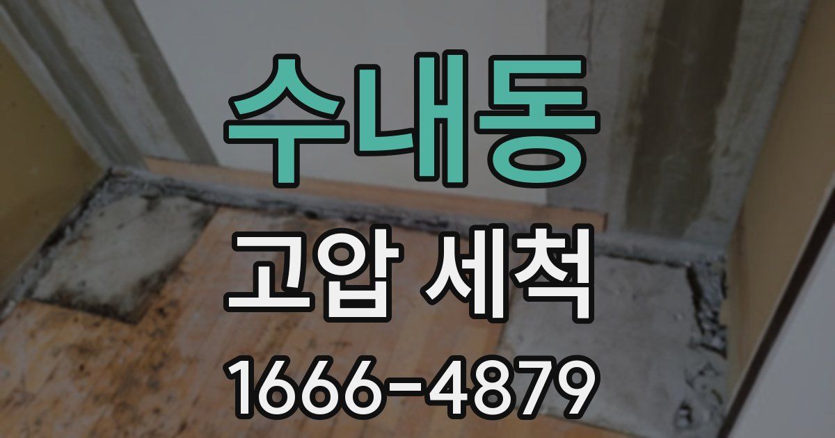 수내동 고압 세척