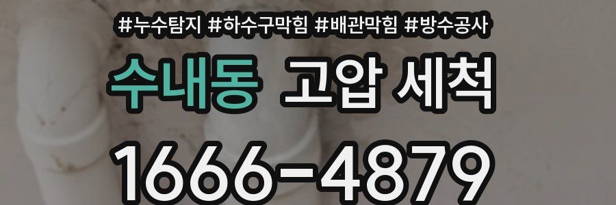 수내동 고압 세척