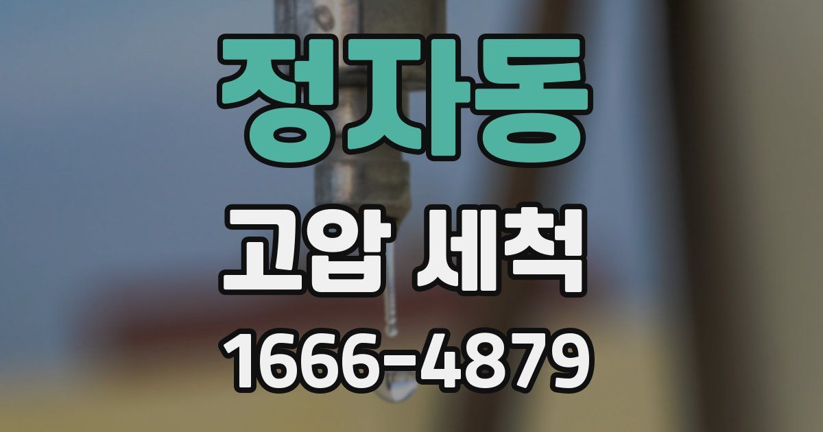 정자동 고압 세척
