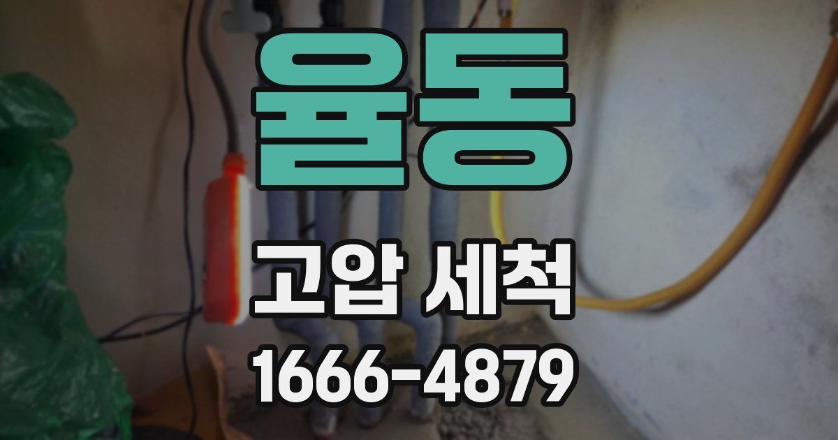 율동 고압 세척